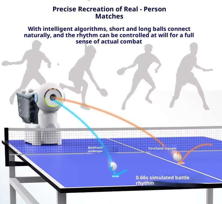2026 Dora Smart Pro Table Tenn - Table Tennis App review and price
